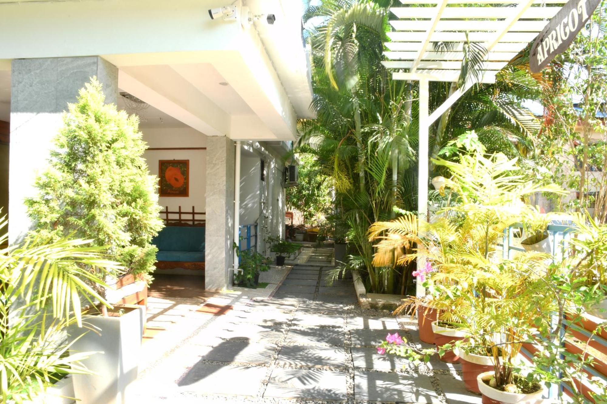 Apricot Homestays ปาโลเลม ภายนอก รูปภาพ